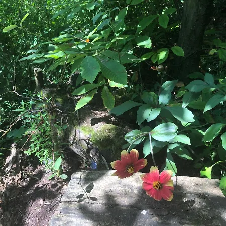 Tiny Gartenhaus Idylle Heilbronn