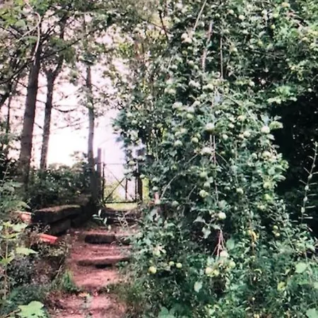Luksustelt Tiny Gartenhaus Idylle *